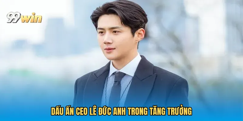 Dấu ấn CEO Lê Đức Anh trong tăng trưởng